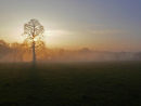 Tuesday's Dawn